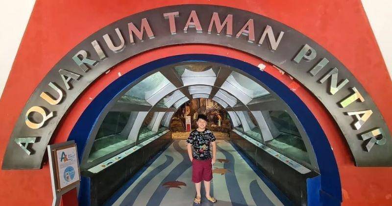 Instagram.com/louisluciuslee.channel